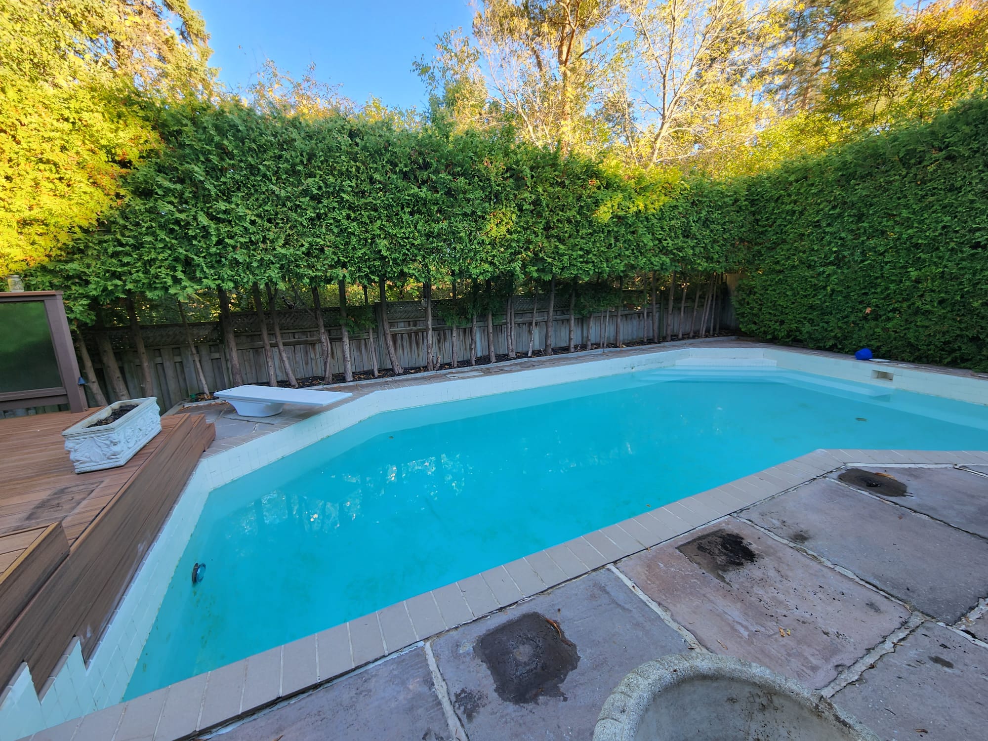 Professional pool maintenance work