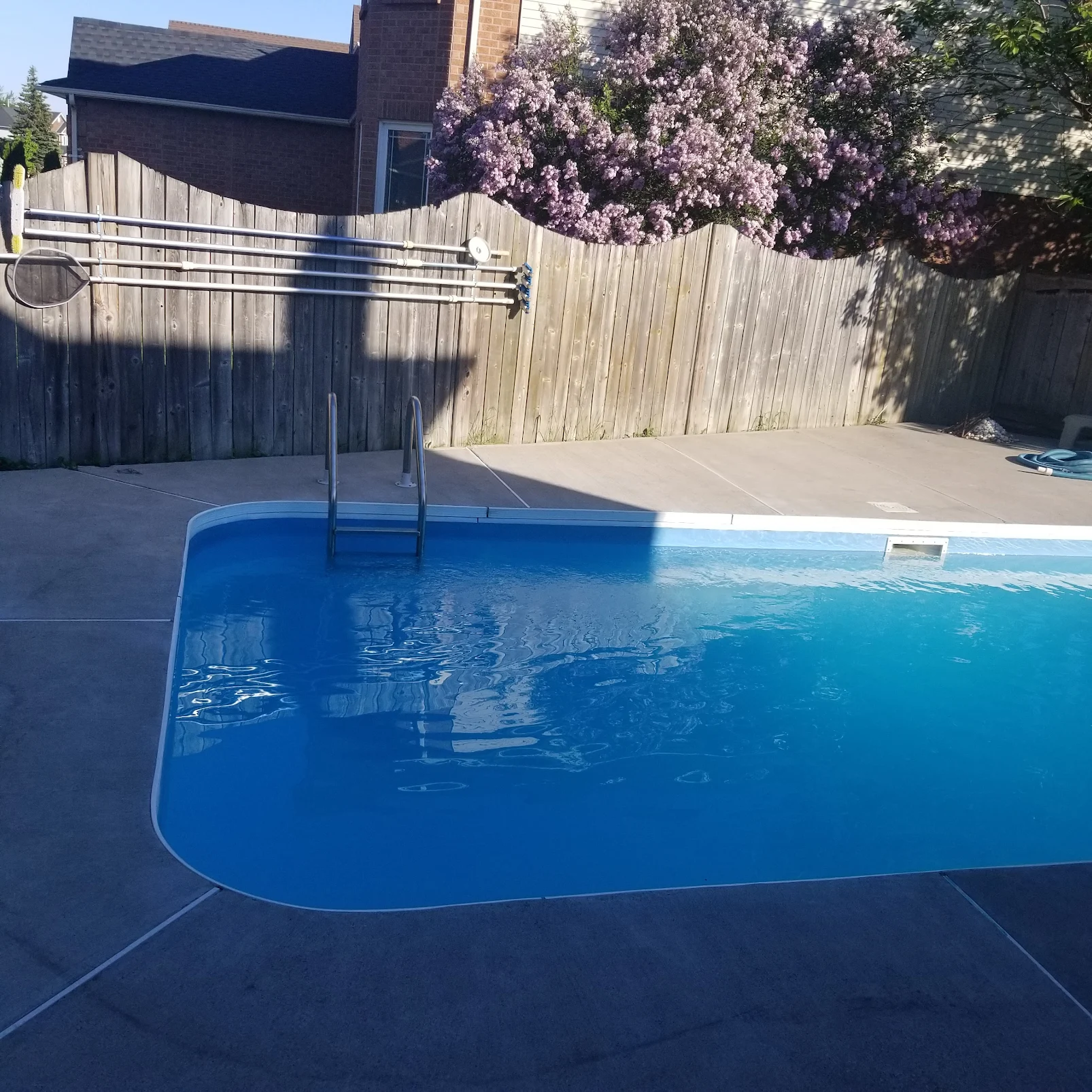 Beautiful pristine pool - Stan's Pools professional results